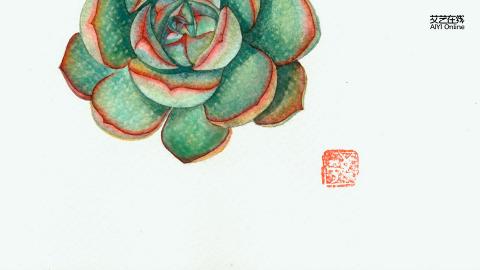 邹良平—多肉（带讲解）