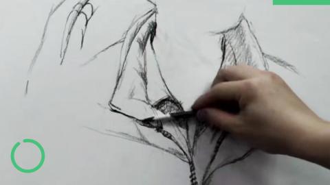 徐培阳—衣服的画法（带讲解）