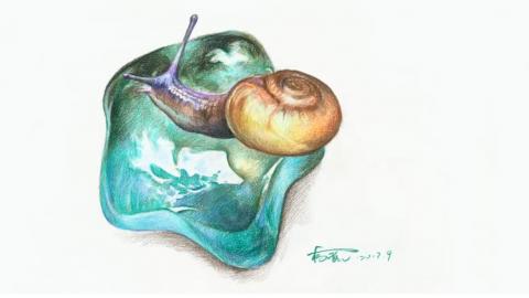 杨税—蜗牛（带讲解）