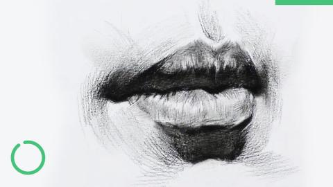 （第十八课）人像素描中嘴巴及嘴巴周围的关系讲解