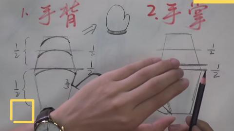 手的画法（带讲解）