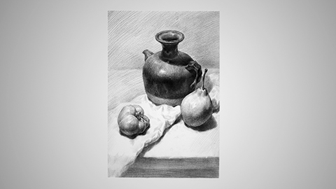 静物组合：简单静物组合练习