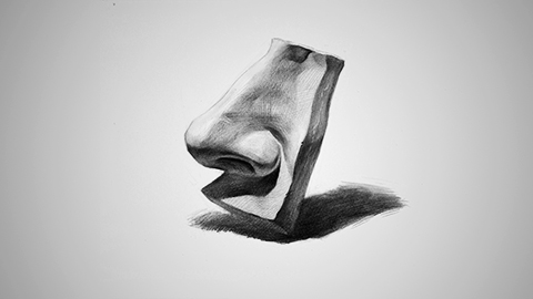 石膏五官：全侧鼻子结构分析与塑造方法