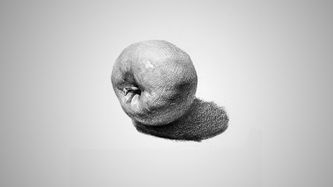 静物单体：右侧苹果