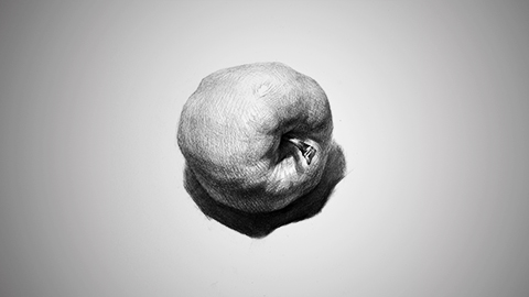 静物单体：左侧苹果