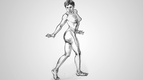 【讲解示范】人体的画法