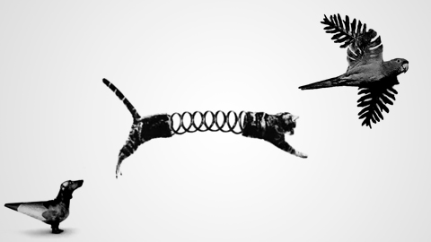 设计基础图形创意详解