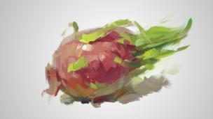 色彩单体火龙果