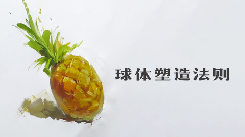 球体的塑造法则-菠萝示范
