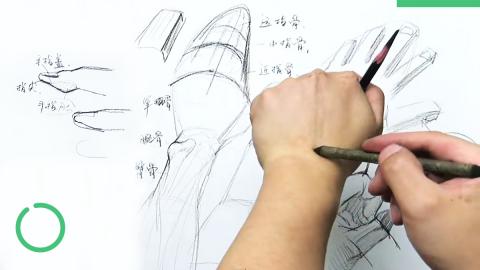 杜博—手部知识讲解