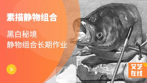 黑白秘境-静物组合长期作业