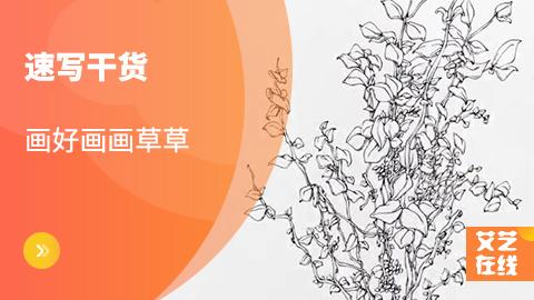 速写入门干货：画好花花草草