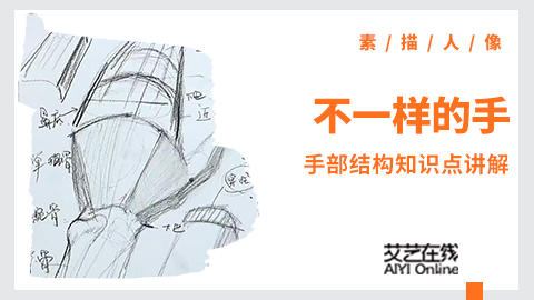 不一样的手，一样的知识点