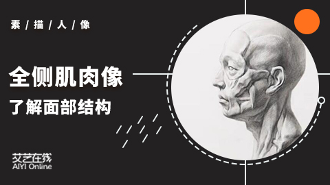 （第二课）面部肌肉讲解