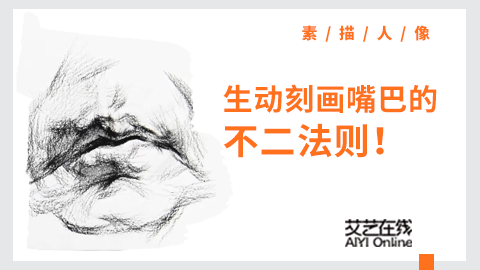 （第十六课）嘴巴正面结构示范