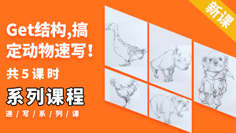 （第一课）五种动物速写