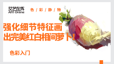 强化细节特征画出完美红白相间萝卜！