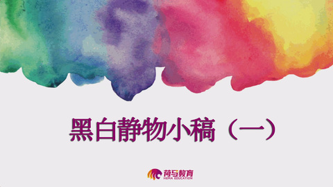 2月21日中午色彩直播回放：黑白静物小稿（一）