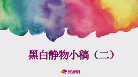 2月21日下午色彩直播回放：黑白静物小稿（二）