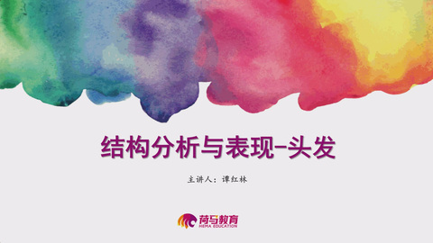 2月24日下午素描直播回放：结构分析与表现——头发