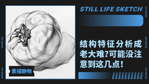 番茄的结构练习（一）