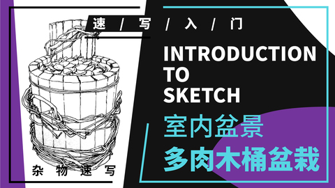 （第三课）多肉木桶盆栽