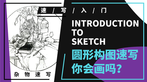 杂物组合：玩具熊和植物