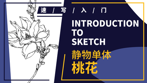 速写静物单体--花卉--桃花