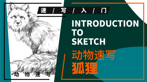 动物速写—狐狸