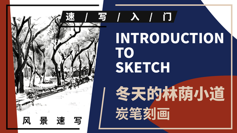 风景速写--林荫小道