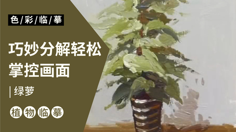 场景单体—绿萝