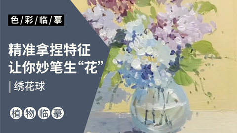 场景单体—绣球花