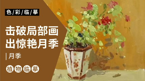 场景单体—月季