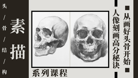 人像刻画高分秘诀：从画好头骨开始