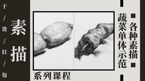 干货打包：各种素描蔬菜单体示范