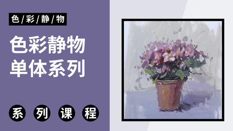 色彩静物单体系列