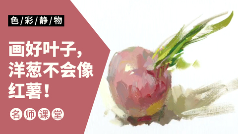 （第八课）色彩静物单体：洋葱