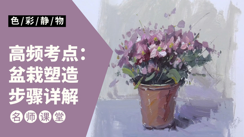 （第二课）色彩静物单体：盆栽