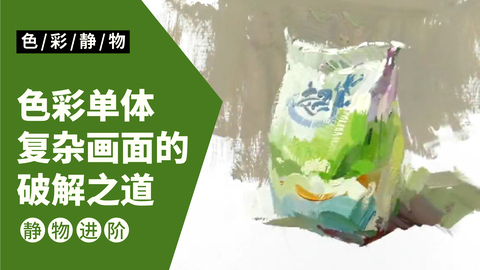 （第一课）色彩静物单体：包装袋