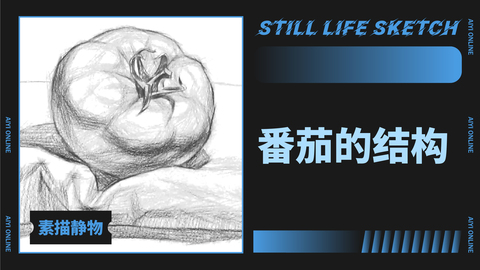 番茄的结构练习（二）