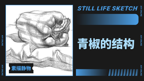 青椒的结构练习