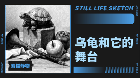 （第十三课）静物组合：乌龟和它的舞台
