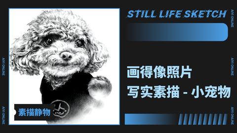 （第二十二课）素描小宠物