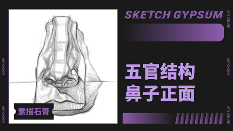 五官结构：鼻子/正面