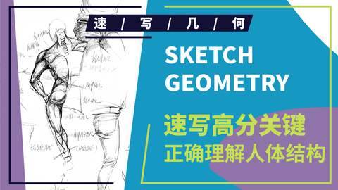 速写理论知识--人体肌肉结构讲解