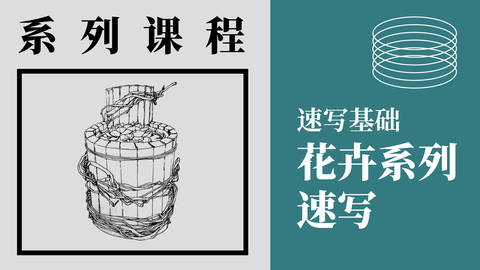 速写基础—花卉系列