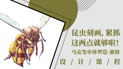 昆虫刻画，紧抓这两点就够啦！