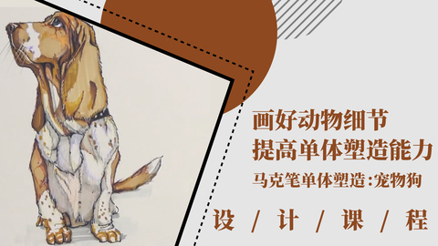 画好动物细节，提高单体塑造能力