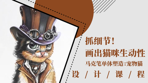 抓细节！画出猫咪生动性