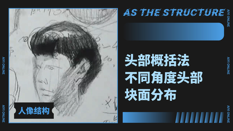 （第四课）头部块面分布